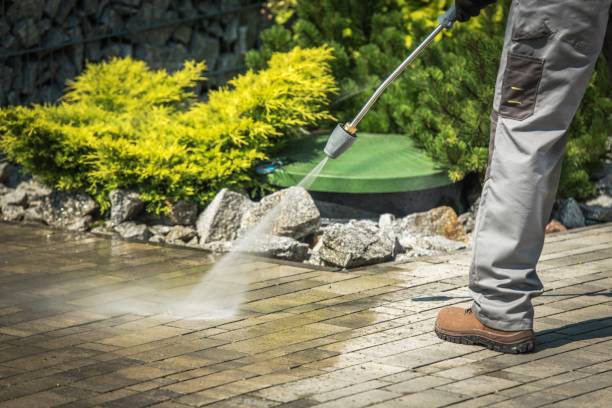 Boat and Dock Cleaning in Searingtown, NY